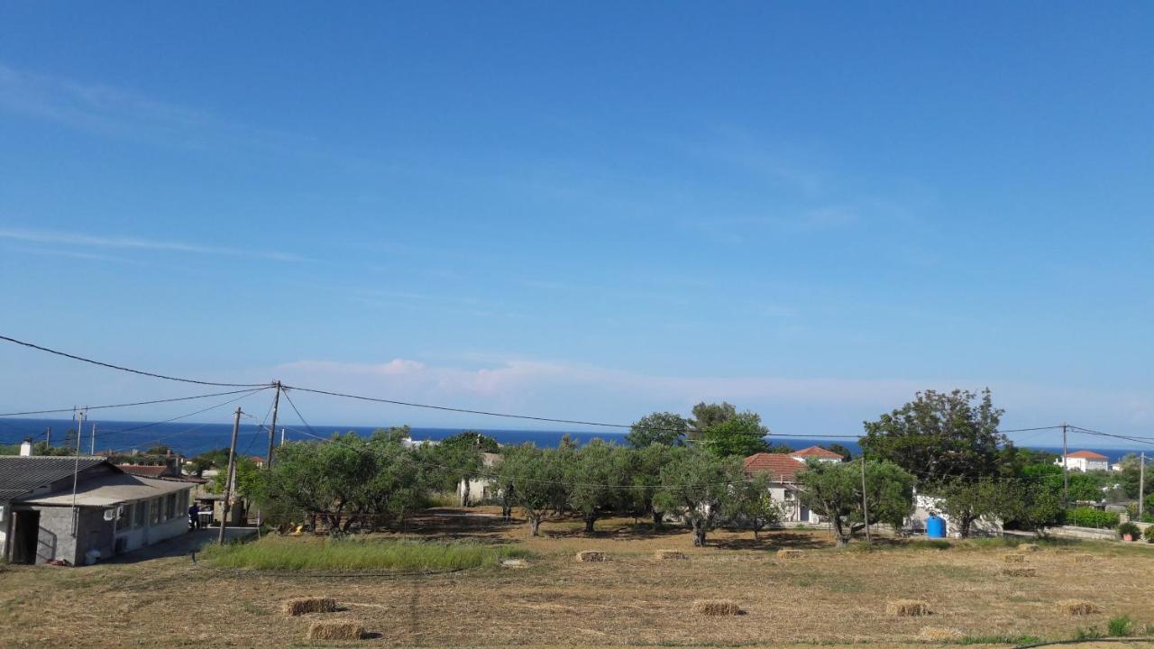 Kypseli Farmhouse Holiday home *